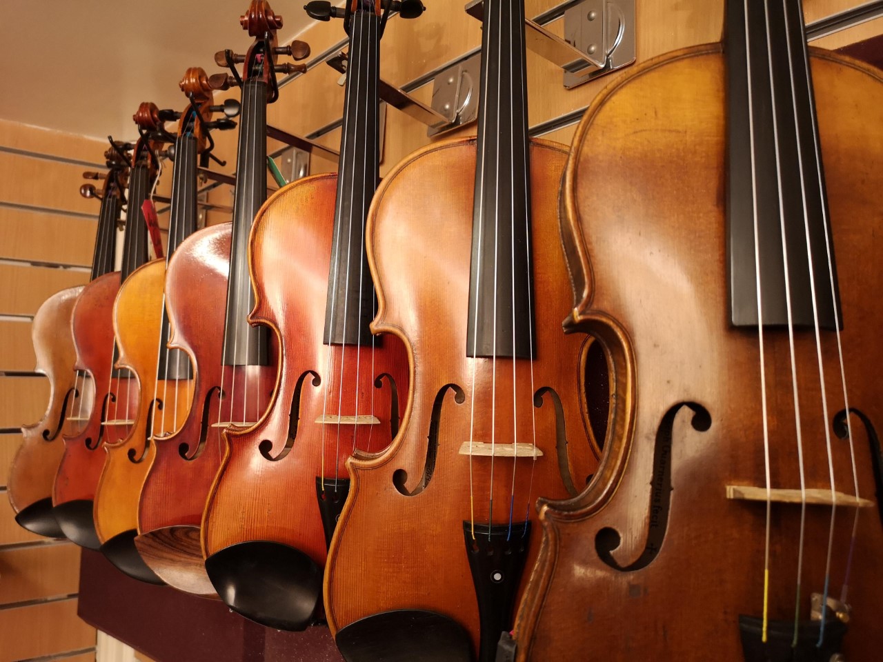 William Davy Violins on stand