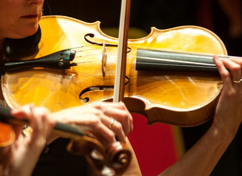 Viola Lessons & viola repairs at Booths